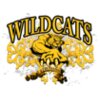  WILDCATS ALTERNATIVE DESIGN
