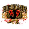 HURRICANES ALTERNATIVE DESIGN