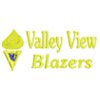 valleyviewblazerstorchyellow