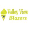 Valley View Blazers Yellow