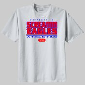 HILLCREST SCREAMIN EAGLES